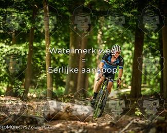 Bartje 200 photo