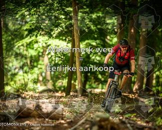 Bartje 200 photo