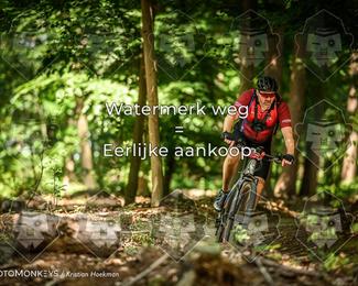 Bartje 200 photo