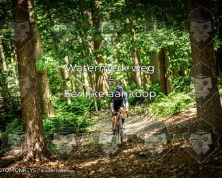 Bartje 200 photo