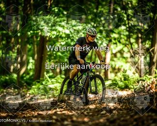 Bartje 200 photo