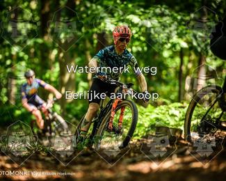Bartje 200 photo