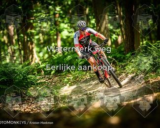 Bartje 200 photo