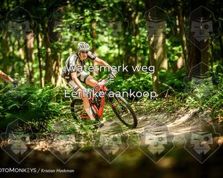 Bartje 200 photo