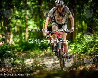 Bartje 200 photo