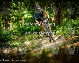 Bartje 200 photo