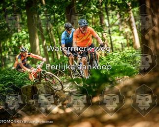 Bartje 200 photo