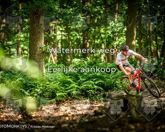 Bartje 200 photo