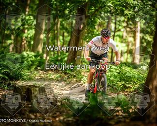 Bartje 200 photo