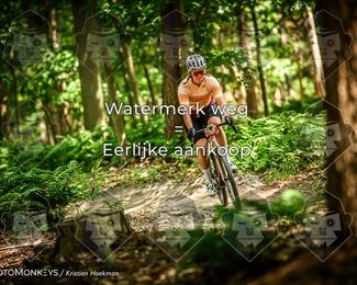 Bartje 200 photo