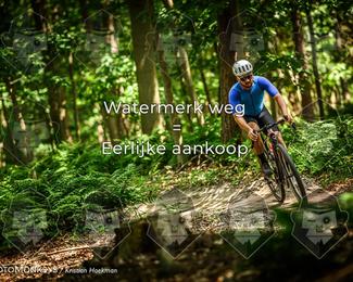 Bartje 200 photo