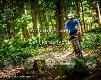 Bartje 200 photo