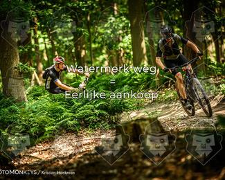 Bartje 200 photo