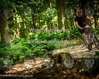 Bartje 200 photo