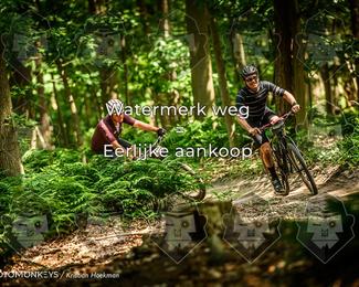 Bartje 200 photo
