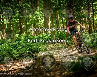 Bartje 200 photo