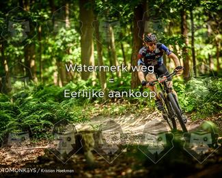 Bartje 200 photo