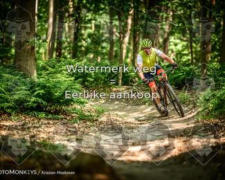 Bartje 200 photo