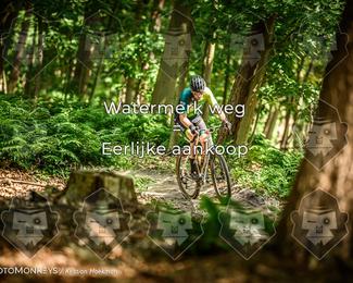 Bartje 200 photo