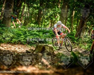 Bartje 200 photo