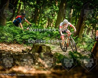 Bartje 200 photo