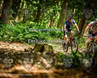 Bartje 200 photo