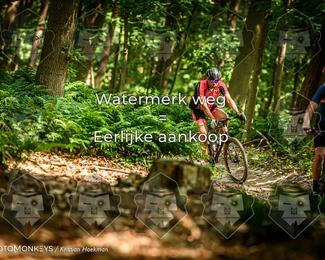 Bartje 200 photo