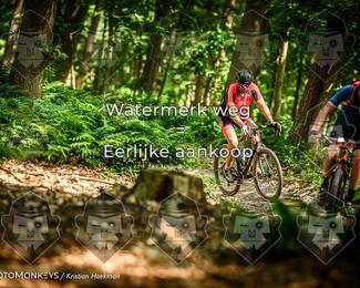 Bartje 200 photo