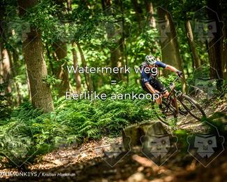 Bartje 200 photo