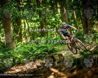 Bartje 200 photo