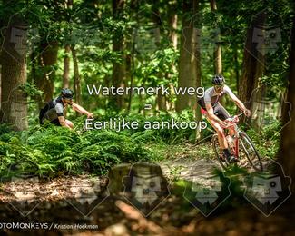 Bartje 200 photo