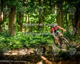 Bartje 200 photo