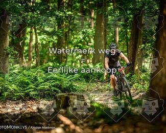 Bartje 200 photo
