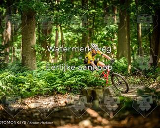 Bartje 200 photo