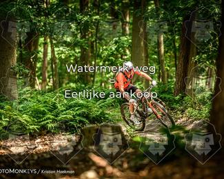 Bartje 200 photo