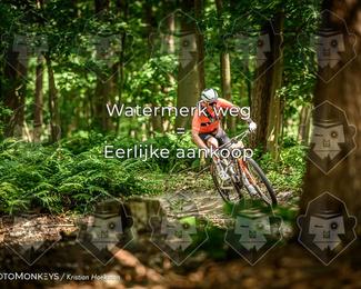 Bartje 200 photo