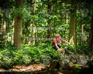 Bartje 200 photo