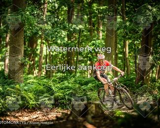 Bartje 200 photo