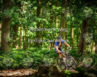Bartje 200 photo