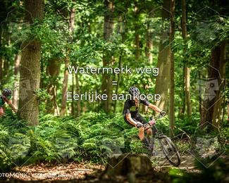 Bartje 200 photo