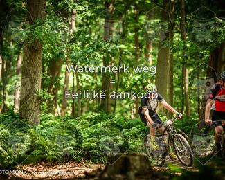 Bartje 200 photo