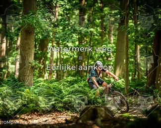 Bartje 200 photo
