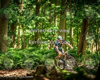 Bartje 200 photo
