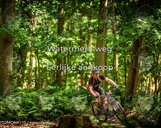Bartje 200 photo