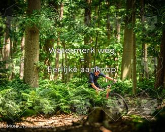 Bartje 200 photo