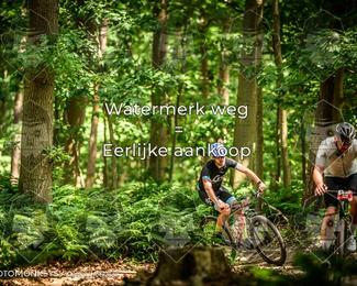 Bartje 200 photo
