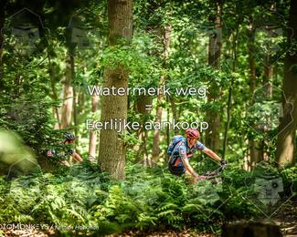 Bartje 200 photo