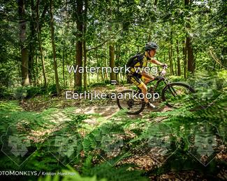 Bartje 200 photo