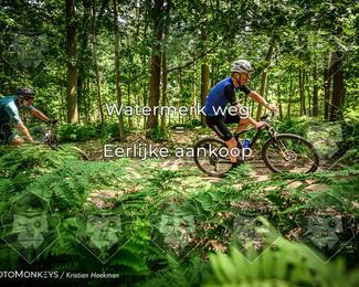 Bartje 200 photo