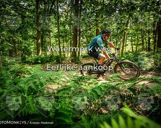 Bartje 200 photo